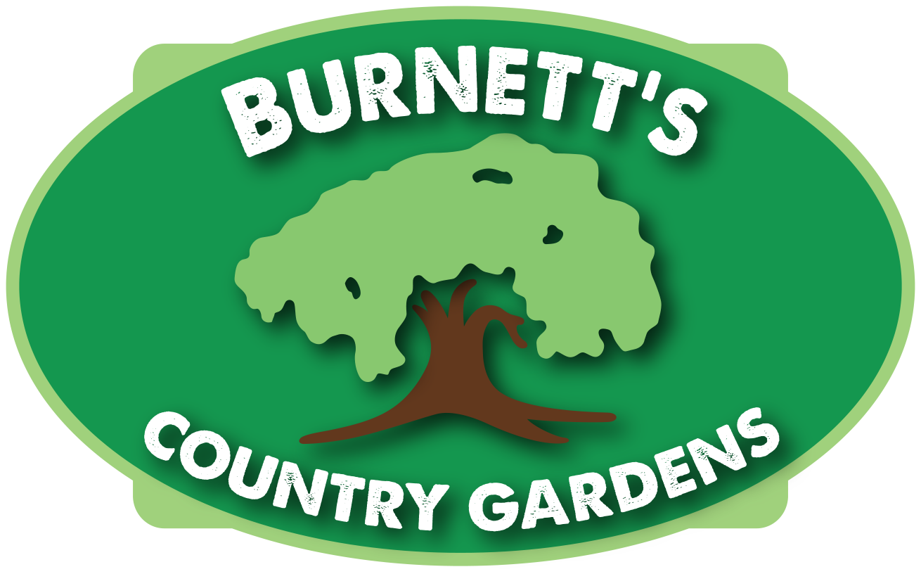 Burnett’s Grown Vegetables