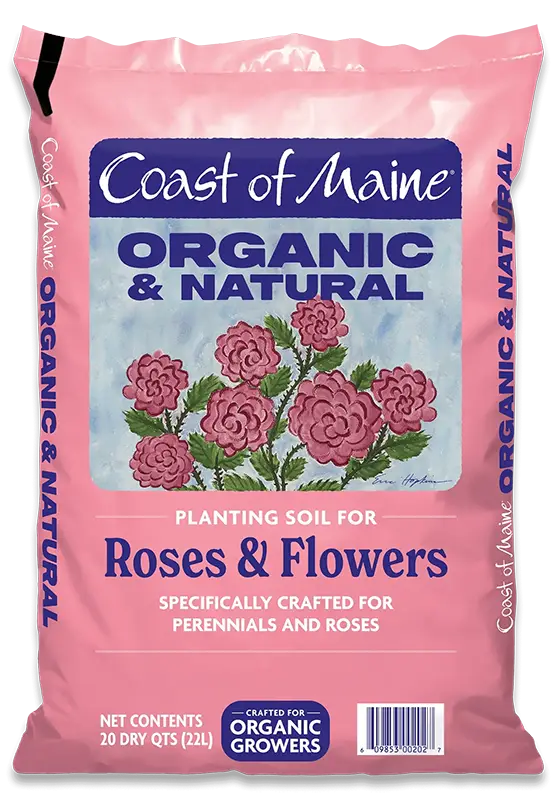 Coast of Maine's Planting Soil for Roses & Flowers