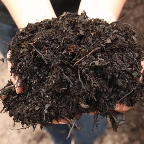 buy premium leaf compost by the yard or half yard
