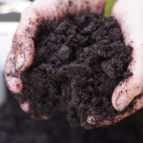buy premium screened topsoil by the yard or half yard