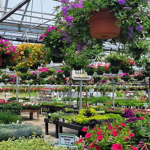 Burnett's Garden Center: annuals, perennials, veggies, herbs, shrubs, trees