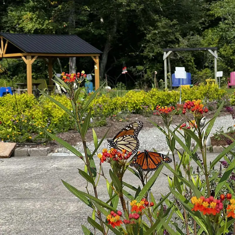 Burnett's Pollinator Park