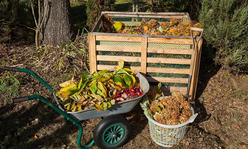 Fall Clean Up Composting