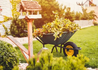 Preparing Your Garden for Winter: Essential Fall Cleanup Tasks