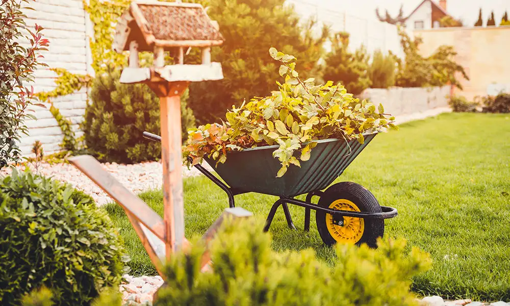 Preparing Your Garden for Winter: Essential Fall Cleanup Tasks