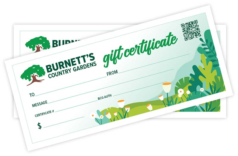 Burnett's Country Garden Gift Certificates available.