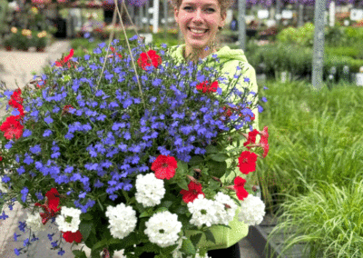 Memorial Day Garden Center Sale in Connecticut – Don’t Miss These Blooming Deals