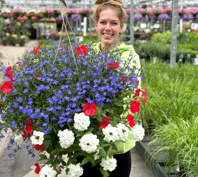 Memorial Day Garden Center Sale in Connecticut – Don’t Miss These Blooming Deals