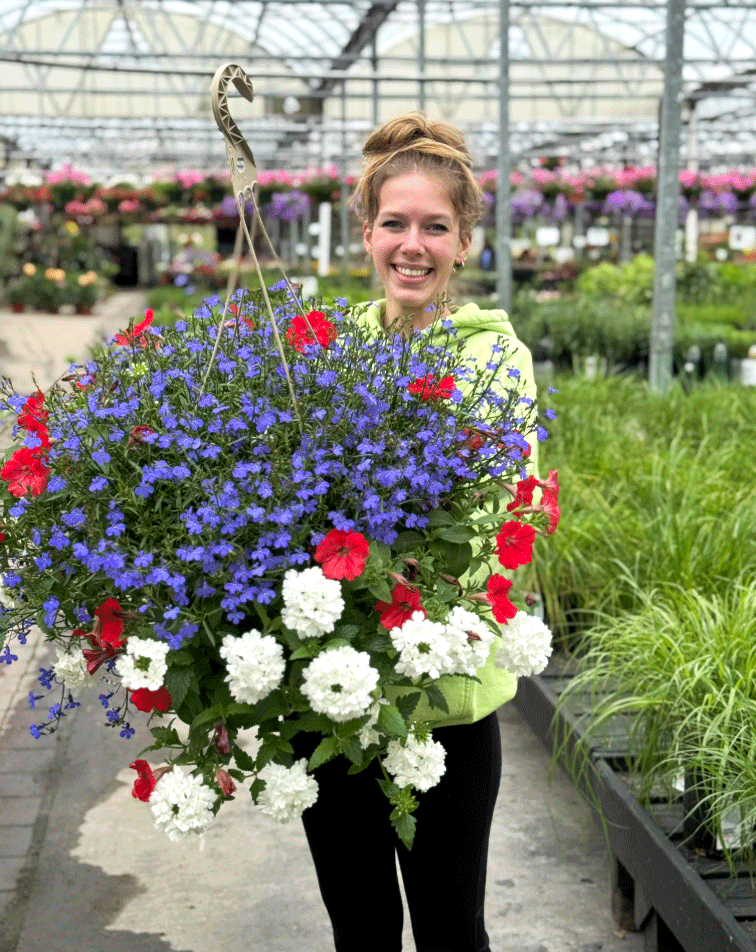 Burnett’s Grown hanging flower basket on display at Connecticut garden center during Memorial Day Sale