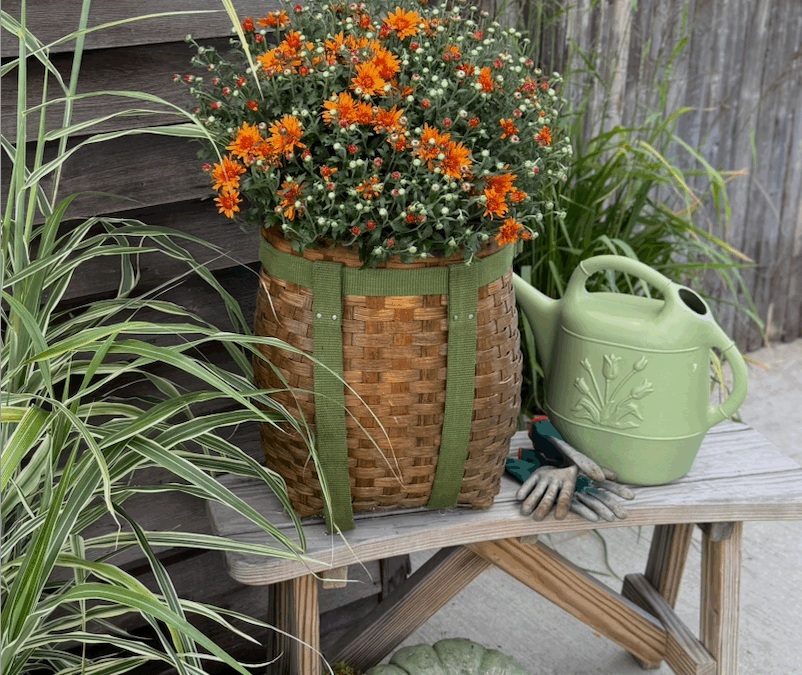 3 Ways to Style Burnett’s Grown Mums