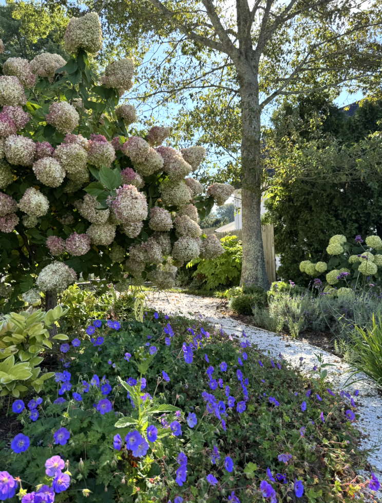 coastal garden design niantic connecticut burnetts country gardens