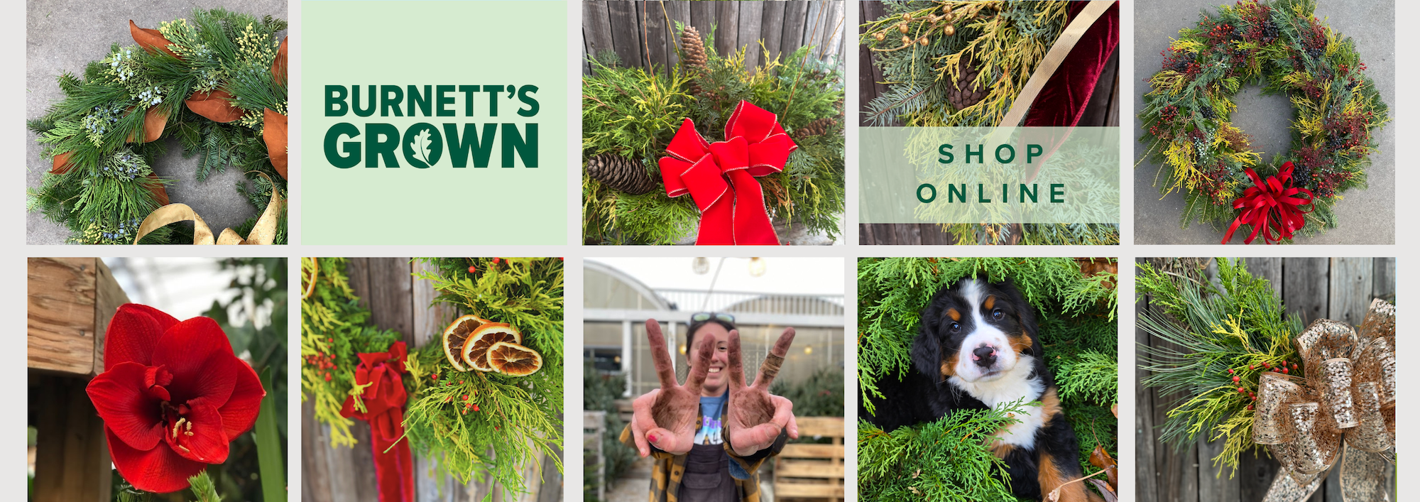 Burnetts-Country-Gardens-Center-Connecticut-Salem-Fall-Gardening (2) Burnett's Locally Grown and Family Owned