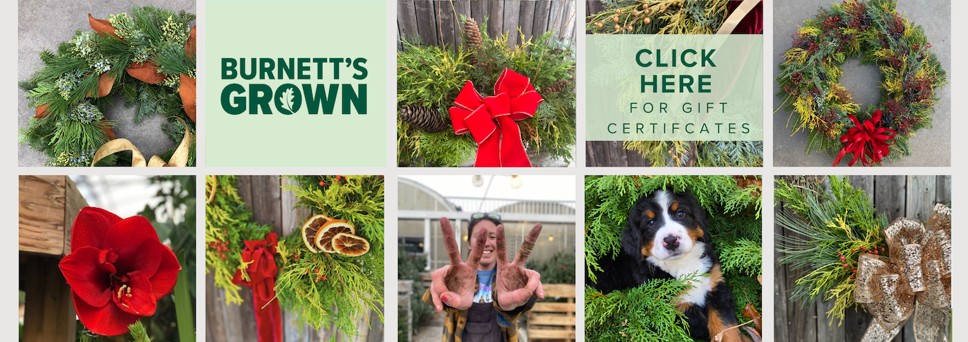 Burnett's Locally Grown and Family Owned