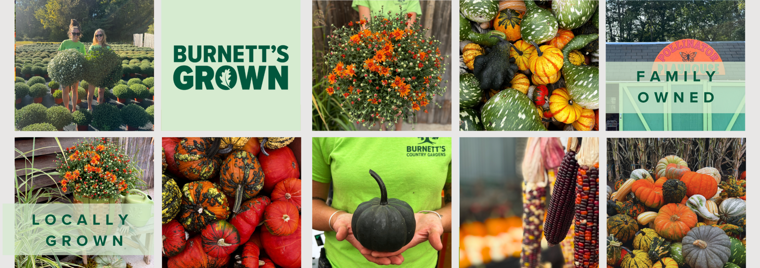 A seasonal view of Burnett’s Country Gardens garden center in Salem, Connecticut, filled with fresh plants, flowers, and garden inspiration